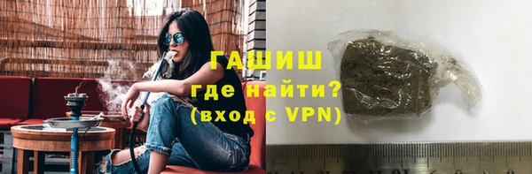 сатива Армянск