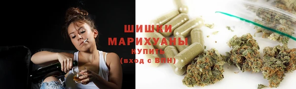 сатива Армянск