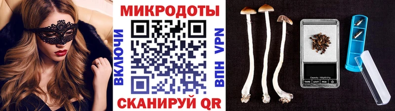 Галлюциногенные грибы прущие грибы Купить Тайшет
